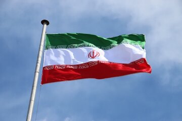 دولت علیه دولت