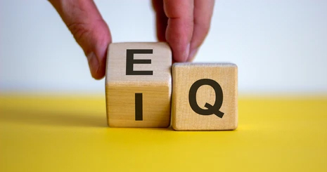 هوش هیجانی Emotional Intelligence