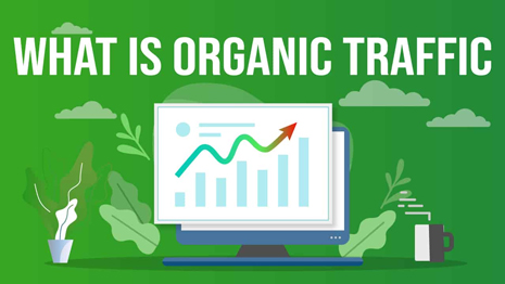 ترافیک ارگانیک (Organic Traffic) چیست و چطور به دست می آید؟