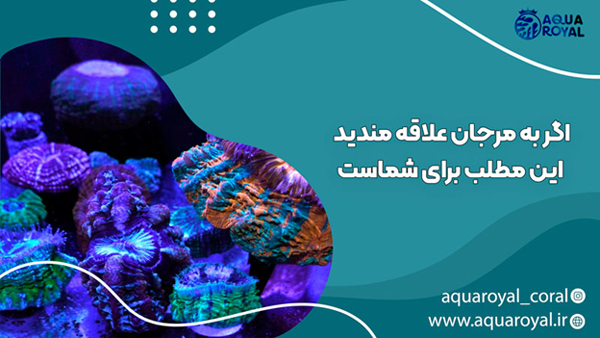 اگر به مرجان علاقه مندید این مطلب برای شماست