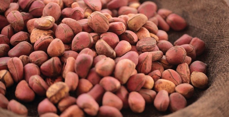 دانه کولا منبع طبیعی کافئین