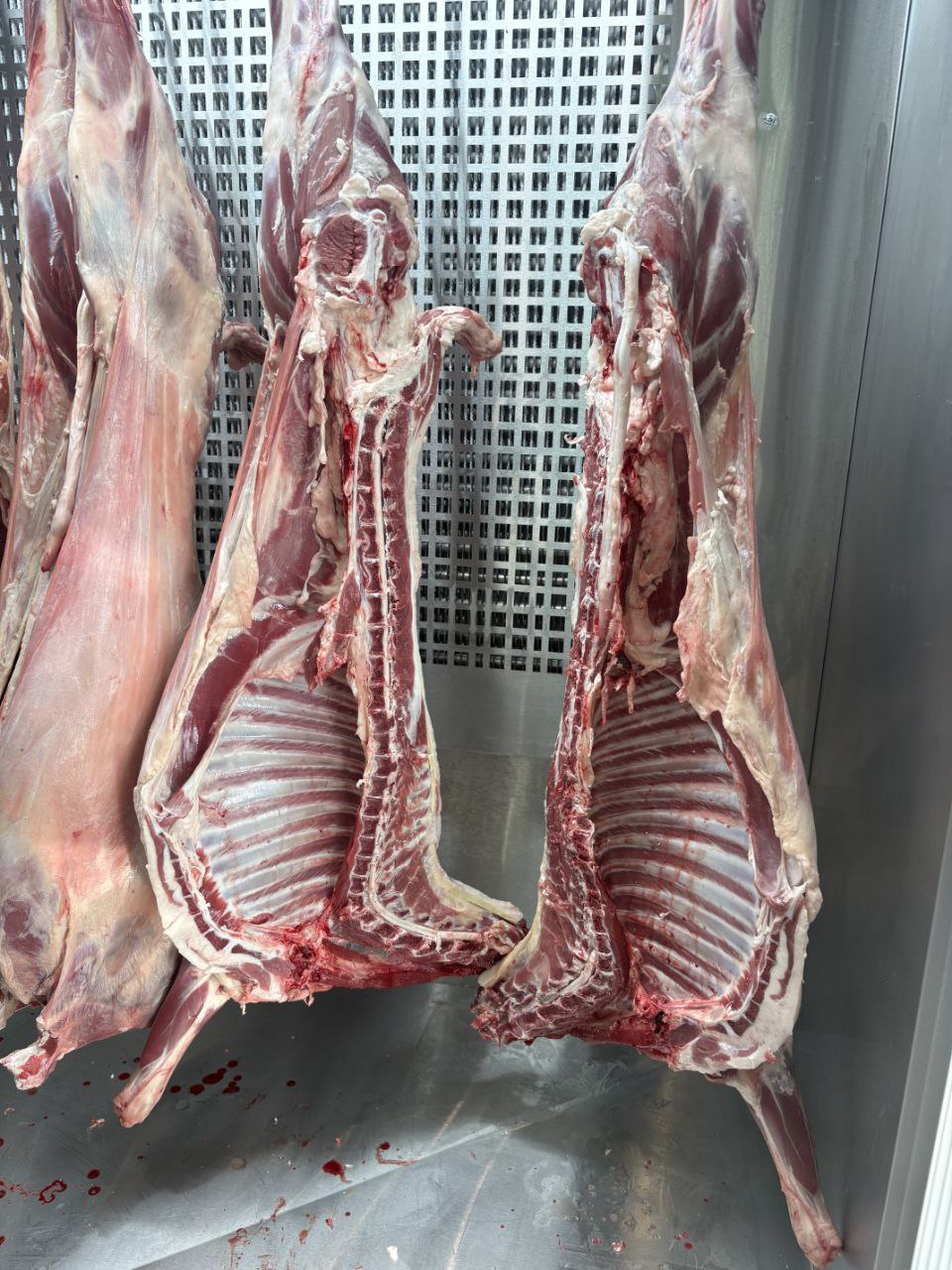 بهترین کیفیت گوشت