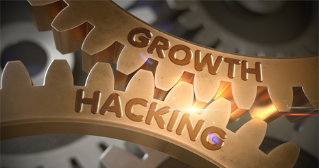 هک رشد  Growth Hacking