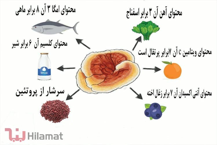 خواص درمانی قارچ گانودرما