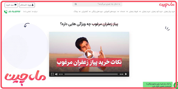 پیاز زعفران مرغوب چه ویژگی هایی دارد؟