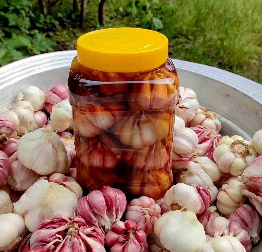 فواید مهم سیر ترشی