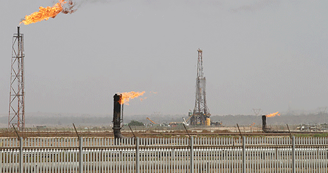 113131242424352412412525241242