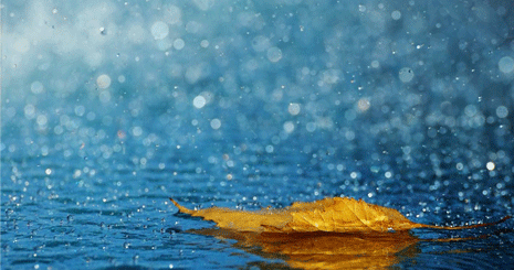 24363632523535636464747457