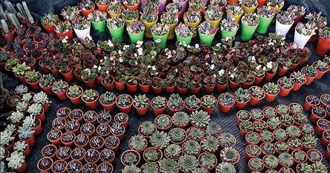 35234623513523623512352362346234