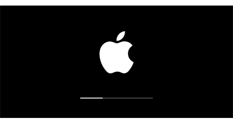 42535424535636646353536