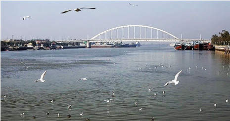 262251221563234247423735783458458