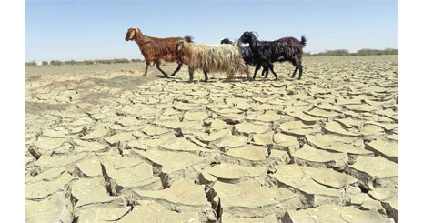 3436234437634734734624423737353735783