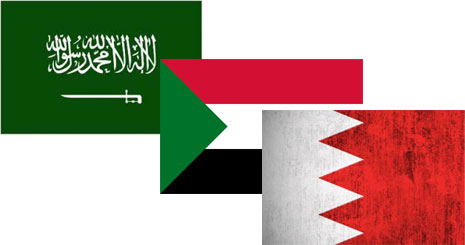 44357346347355484689649464683463565