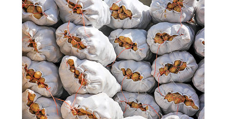 45624624613613262624473473458354