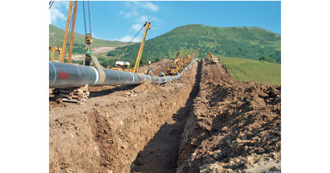 457584845845856884646964345634346