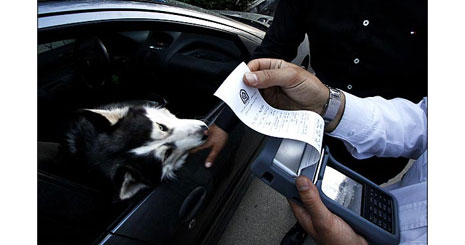 65685685685684745735734737584584646