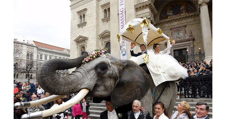 68457345735845846946834572472347358946946