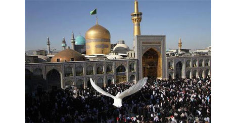 73762462462473473573572347624624724735