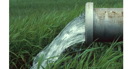 75626467345735246131362472473572462323231