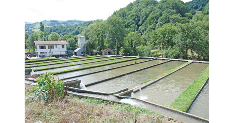 77346262462347234724613512351362473