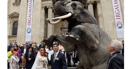 78435734743734735835835835835835734573