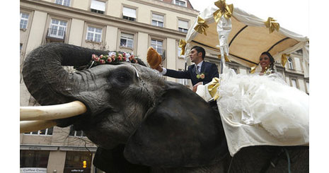 846357246246234734734723423612362346247423735783583