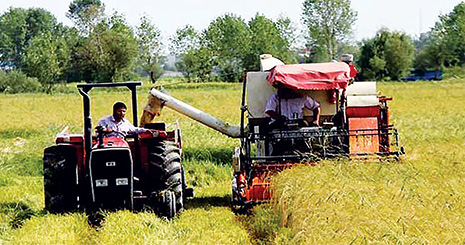 investment in agriculture1
