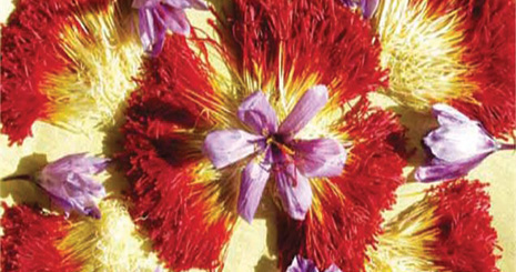 saffron2