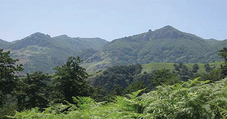 shahmirzad1