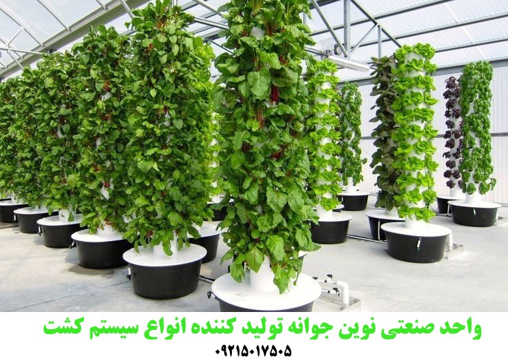 واحد صنعتی نوین جوانه تولید کننده انواع سیستم کشت
