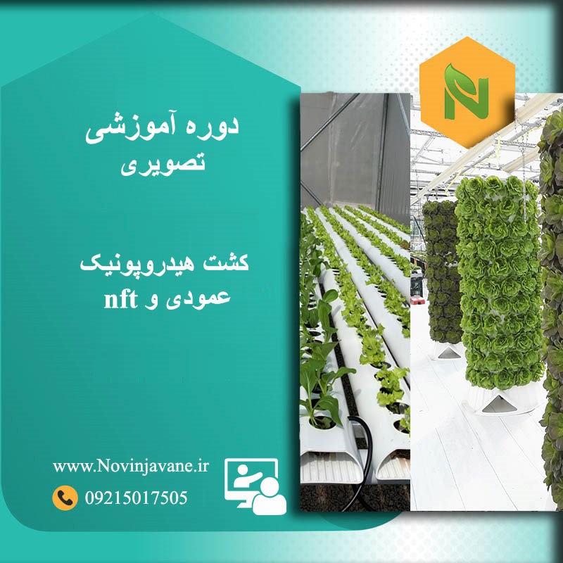 دوره آموزشی تصویری کشت هیدروپونیک عمودی و nft