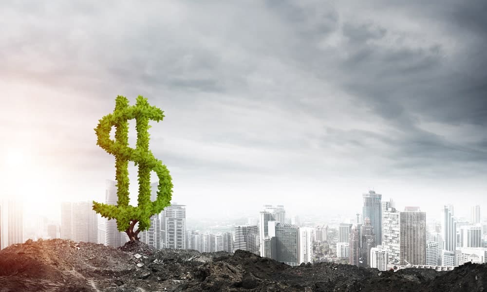 هنر برداشت محصول