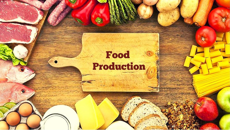 اهمیت سلامت در مواد اولیه صنایع غذایی