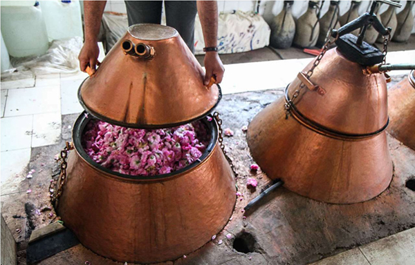 مراسم گلا ب گیری