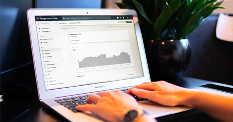 دو راهی استخدام کارشناس های سئوی متعدد برای برند