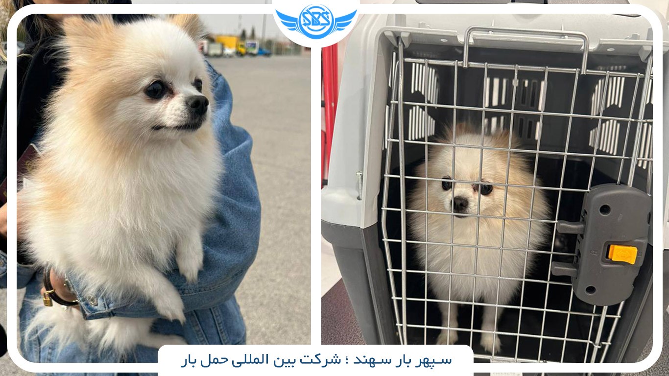 سپهر بار سهند، شرکت بین المللی حمل بار