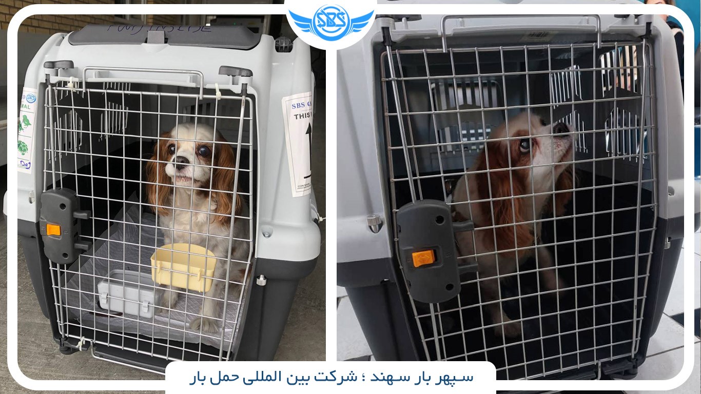 سپهر بار سهند، شرکت بین المللی حمل بار