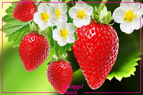 خواص توت فرنگی خوش رنگ